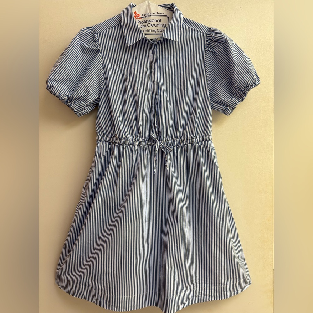J.Crew Striped Blue and White Collared Minidress